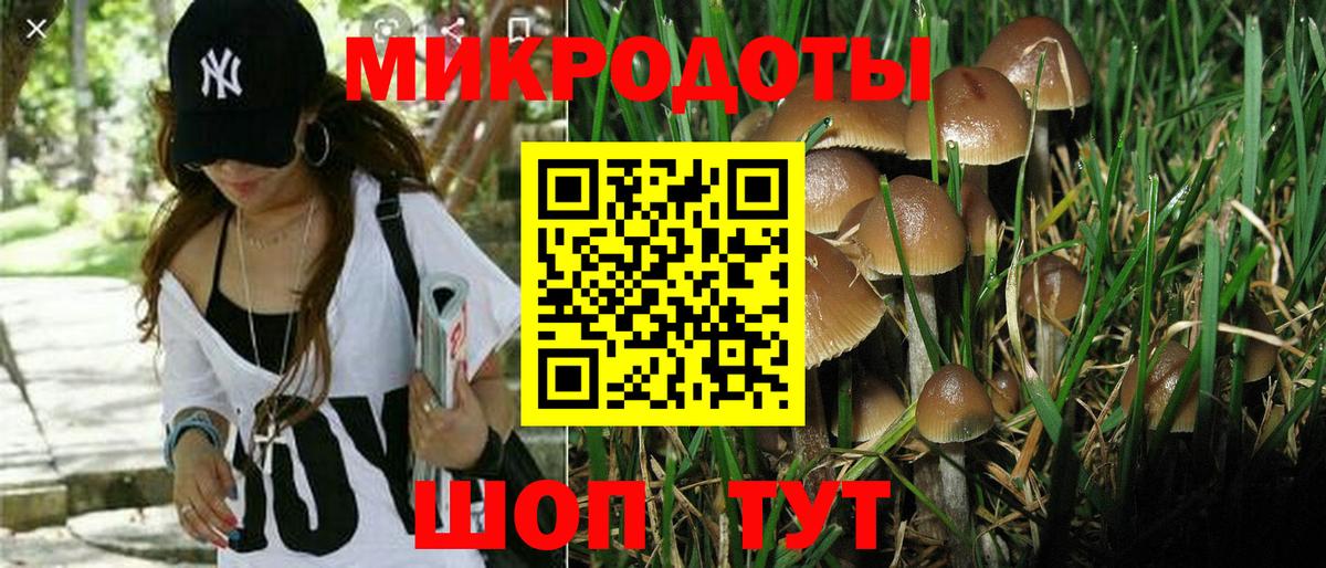 Псилоцибиновые грибы мухоморы  Вход с VPN  где купить   Ангарск  Псилоцибиновые грибы Cubensis 